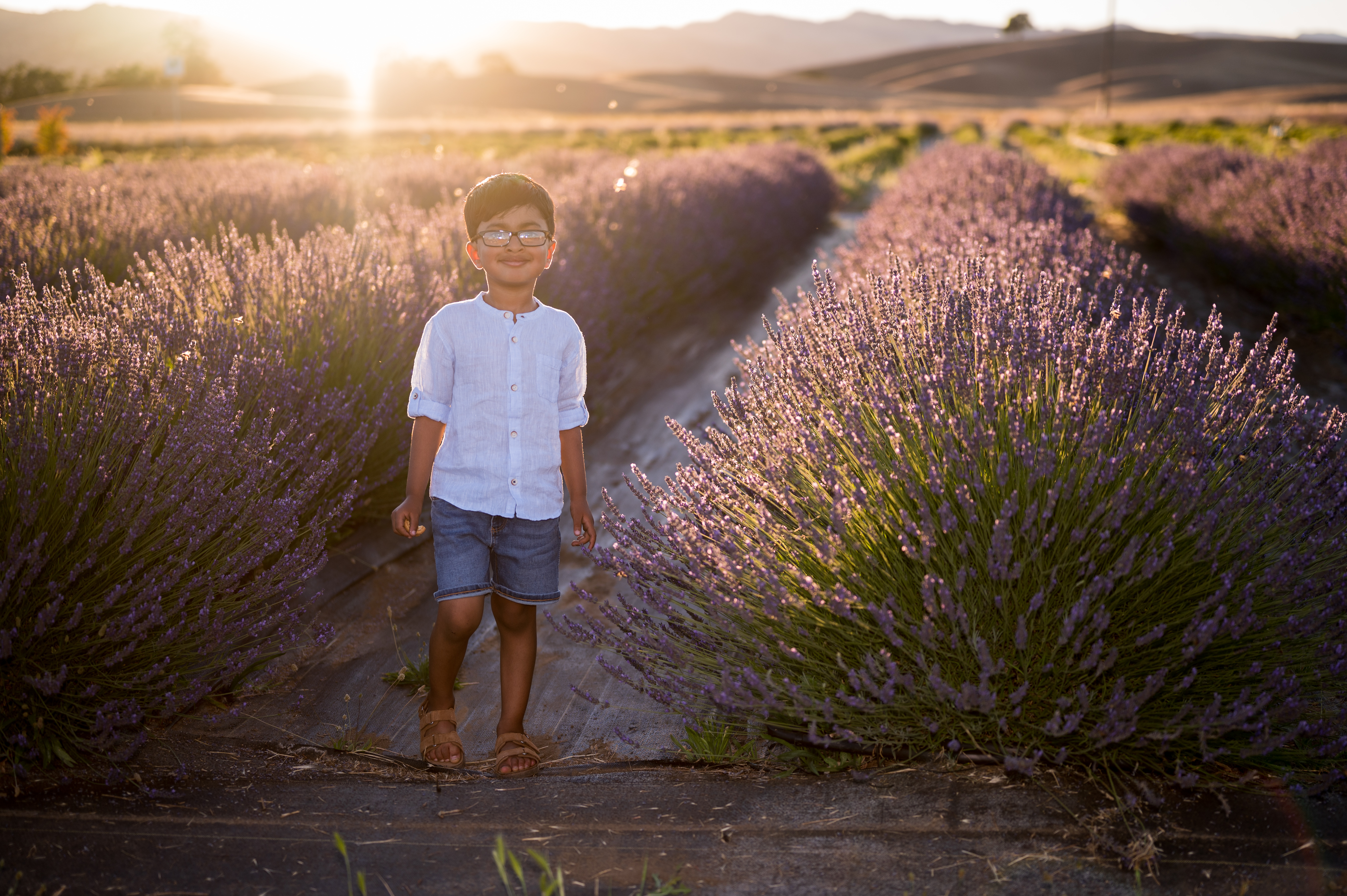 Lavendar